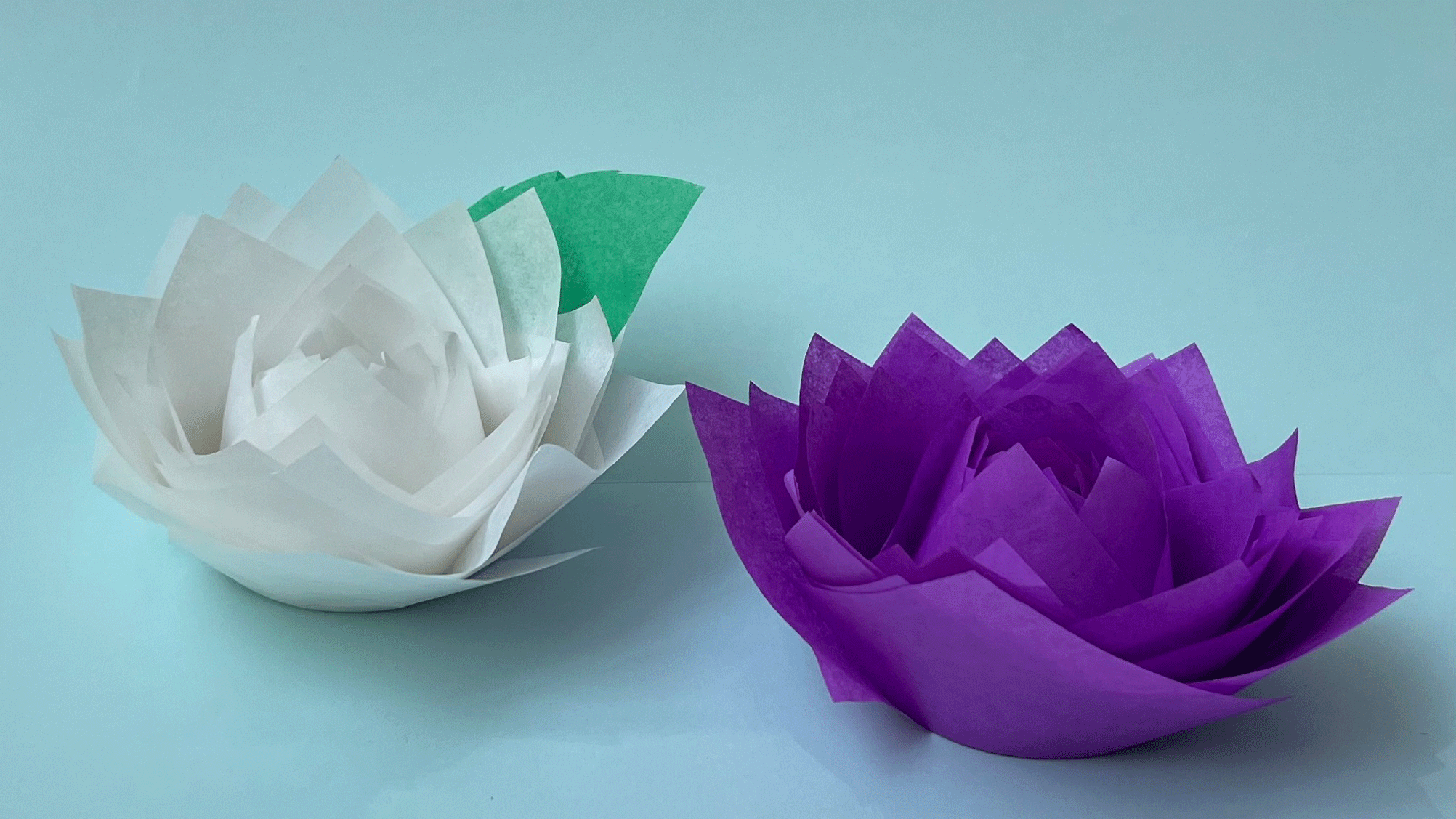 Zwei Seerosen sind im Bild arrangiert, eine weiss, die andere lila. Sie sind gefaltet und gestaltet aus Papier. 