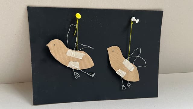 Bird migration