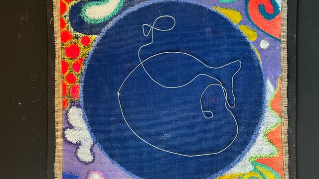 Faszination Unterwasserwelt