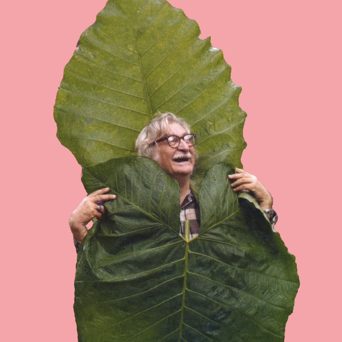 Roberto Burle Marx 1974