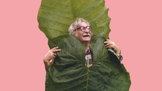 Roberto Burle Marx.