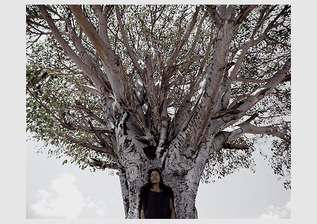 https://archive.zpk.org/de/ausstellungen/rueckblick/2015/about-trees-970.html