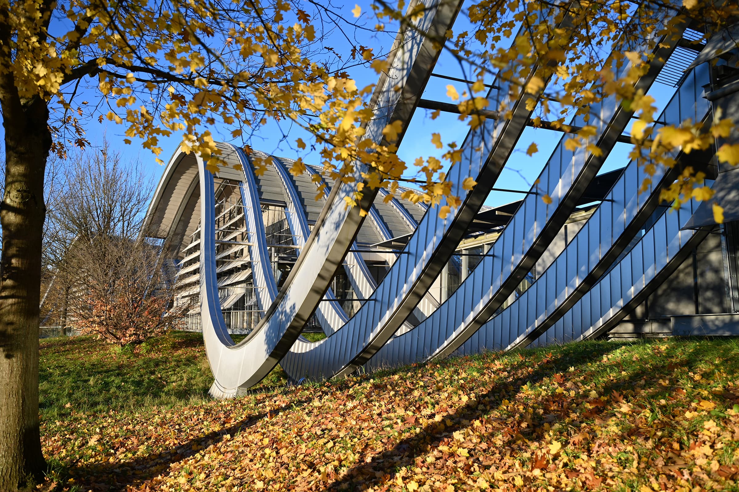 Startseite-ZPK-Herbst-2025_gelb_nah_3.jpg