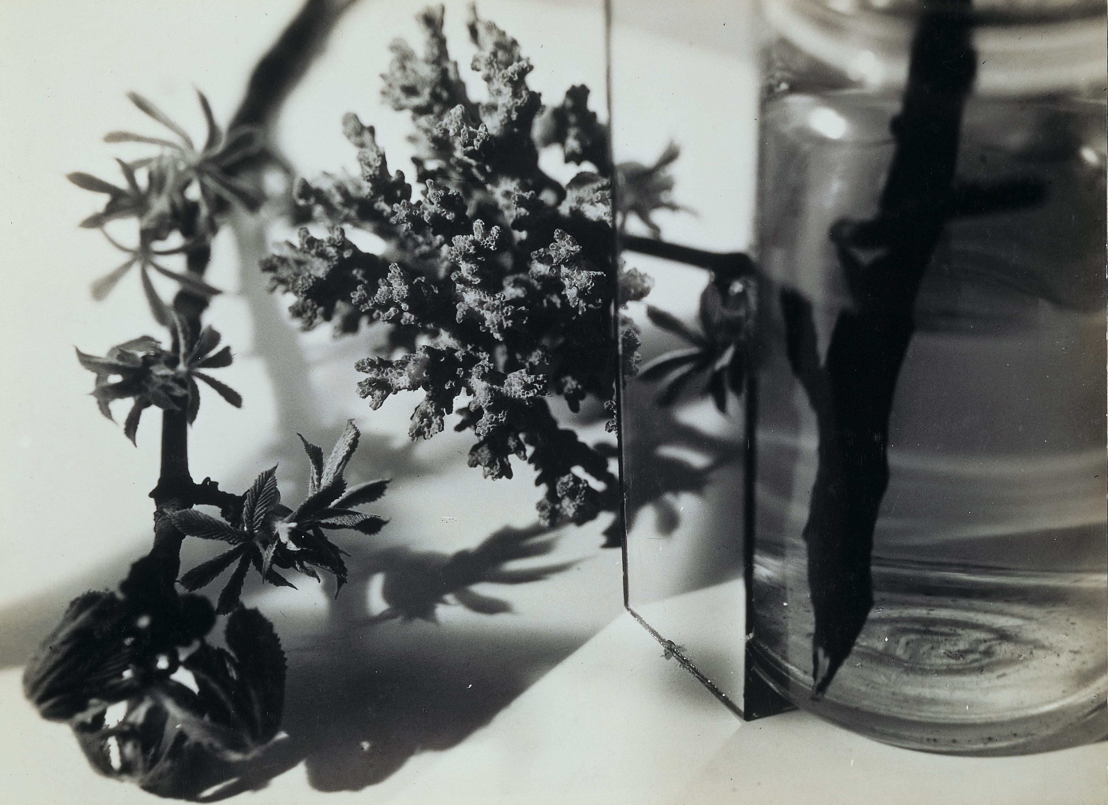 Fotografie von Florence Henri