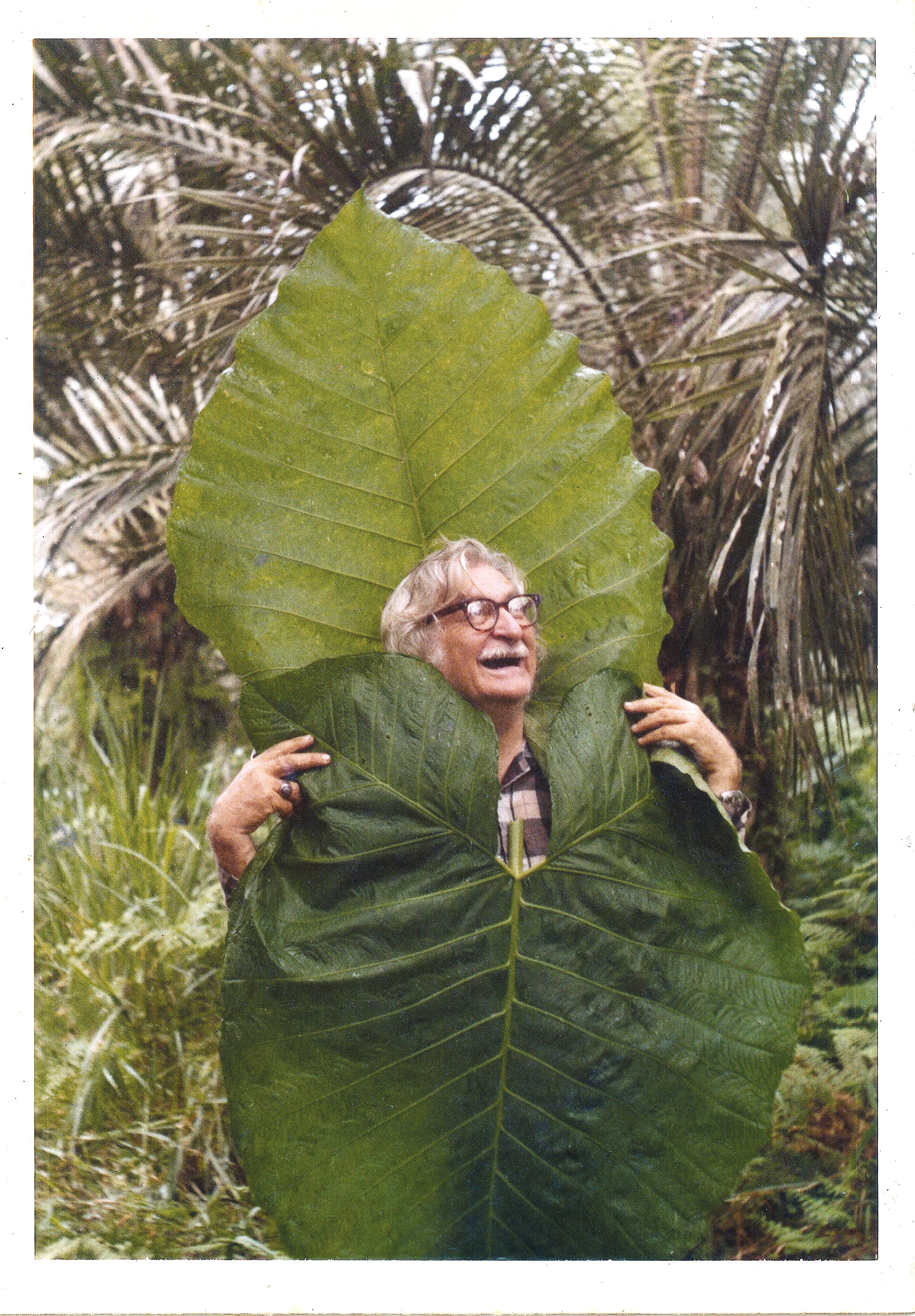 Foto von Roberto Burle Marx