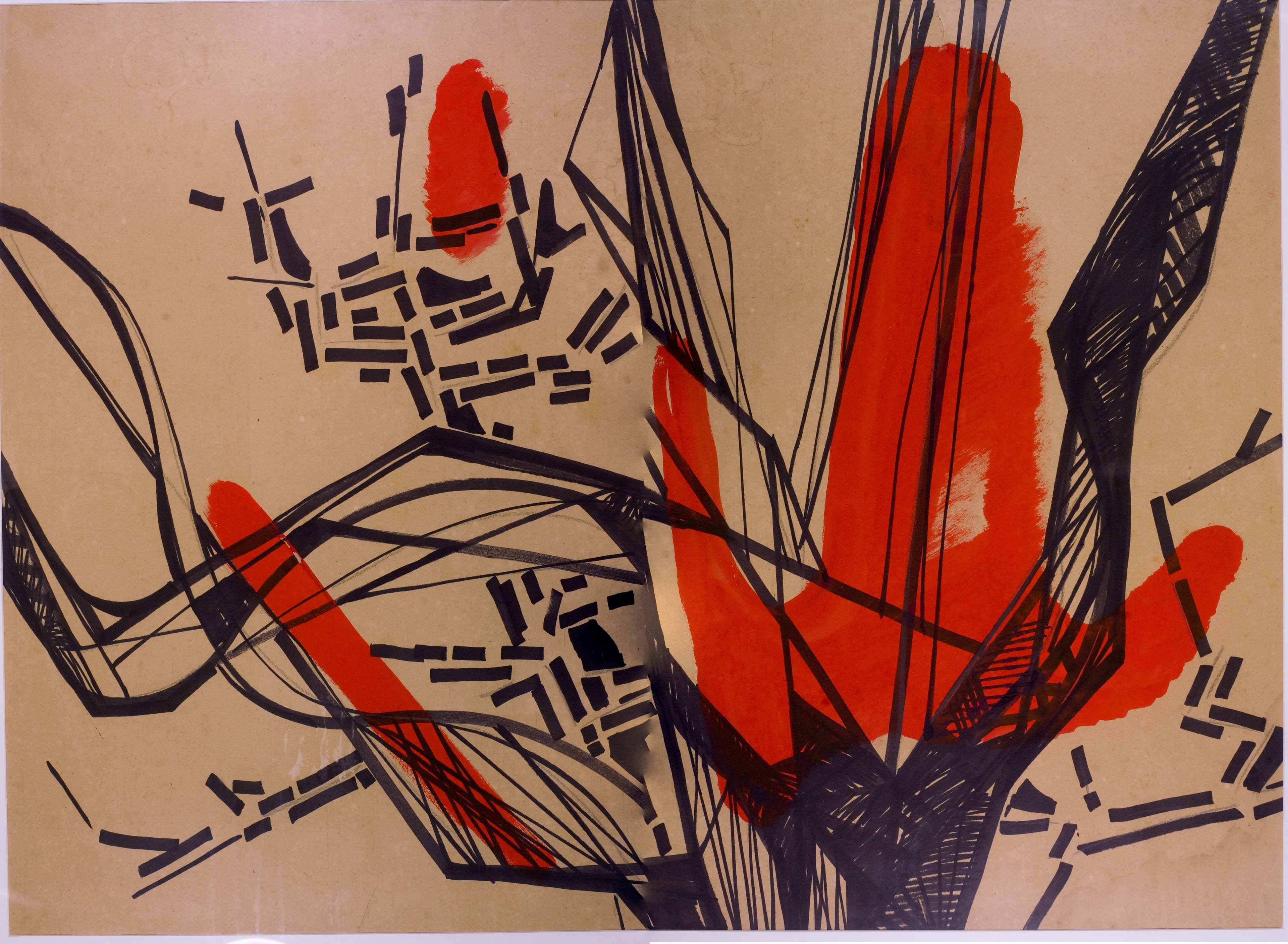 Werk von Roberto Burle Marx