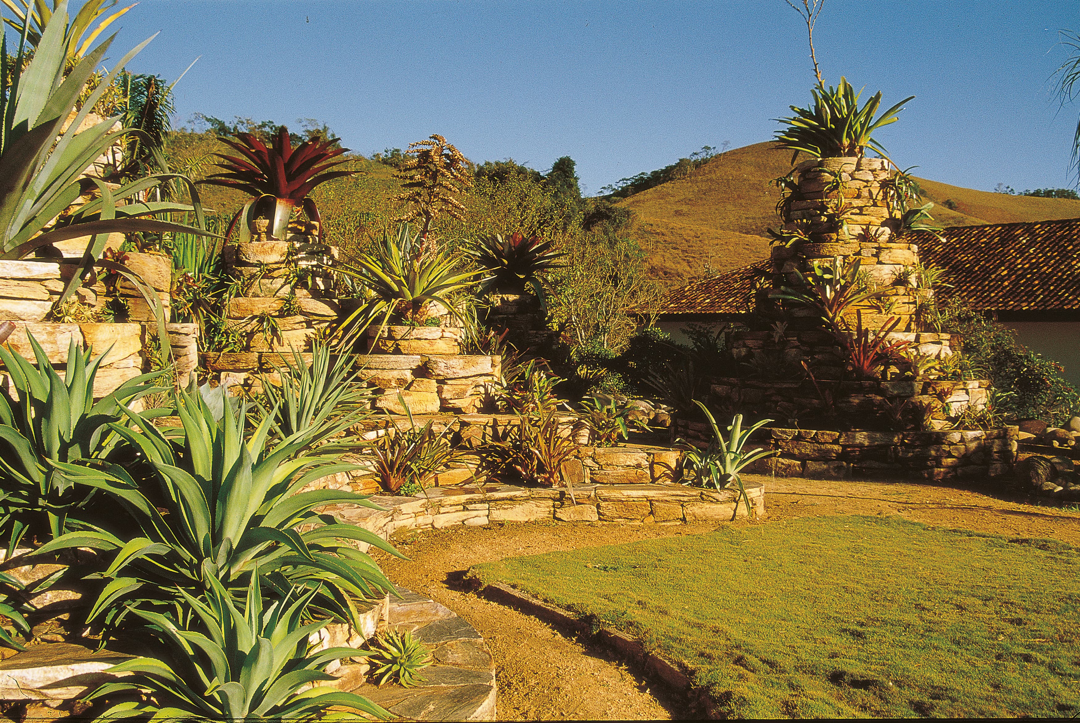 Foto eines Gartens von Roberto Burle Marx