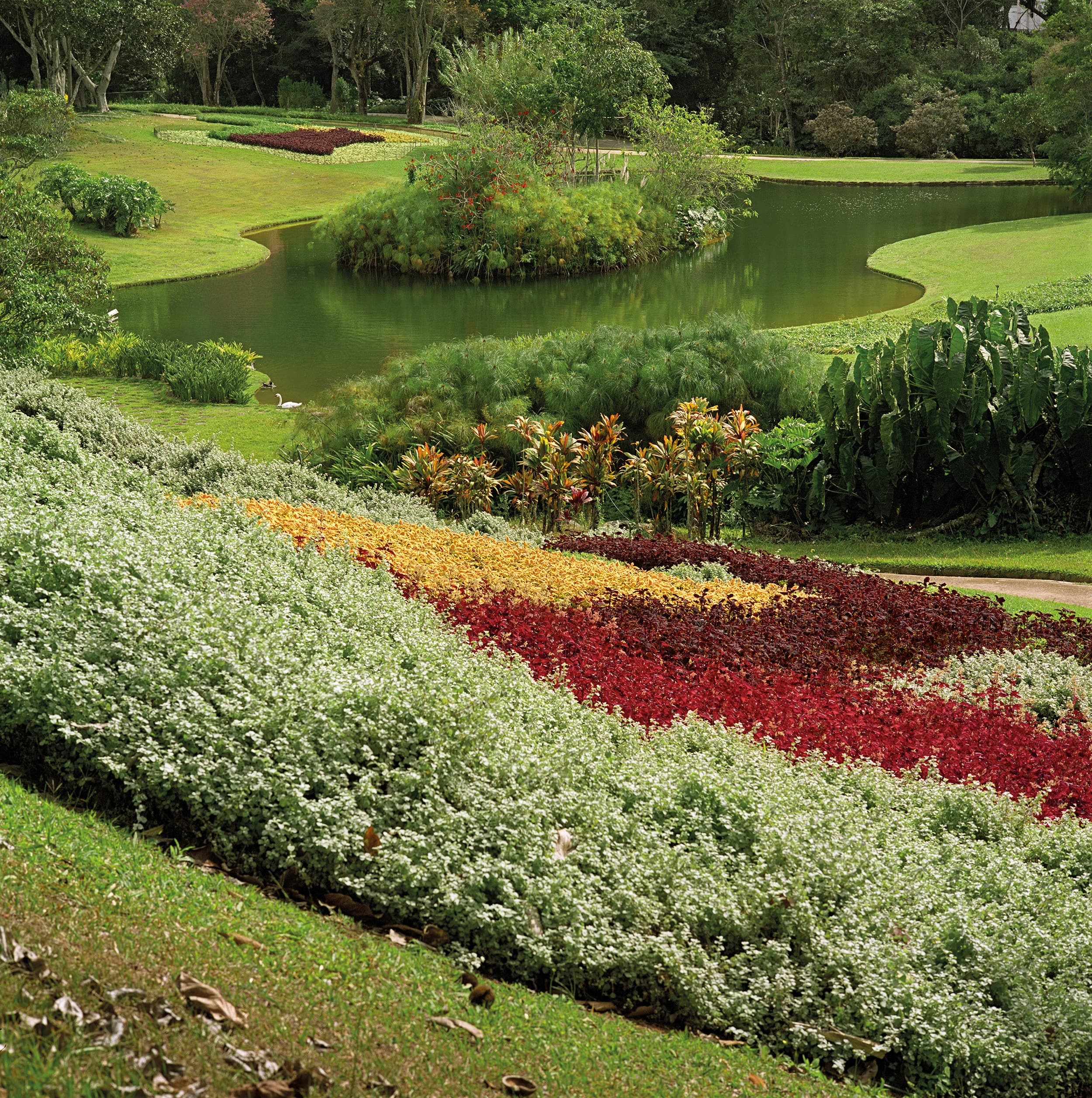 Foto eines Gartens von Roberto Burle Marx