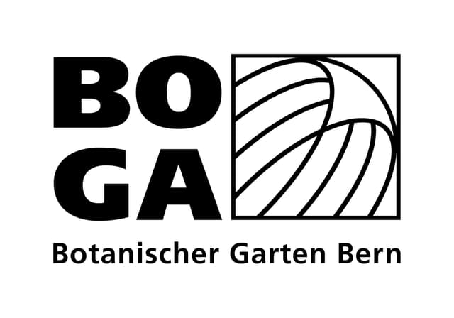 BOGA Logo _Black.jpg
