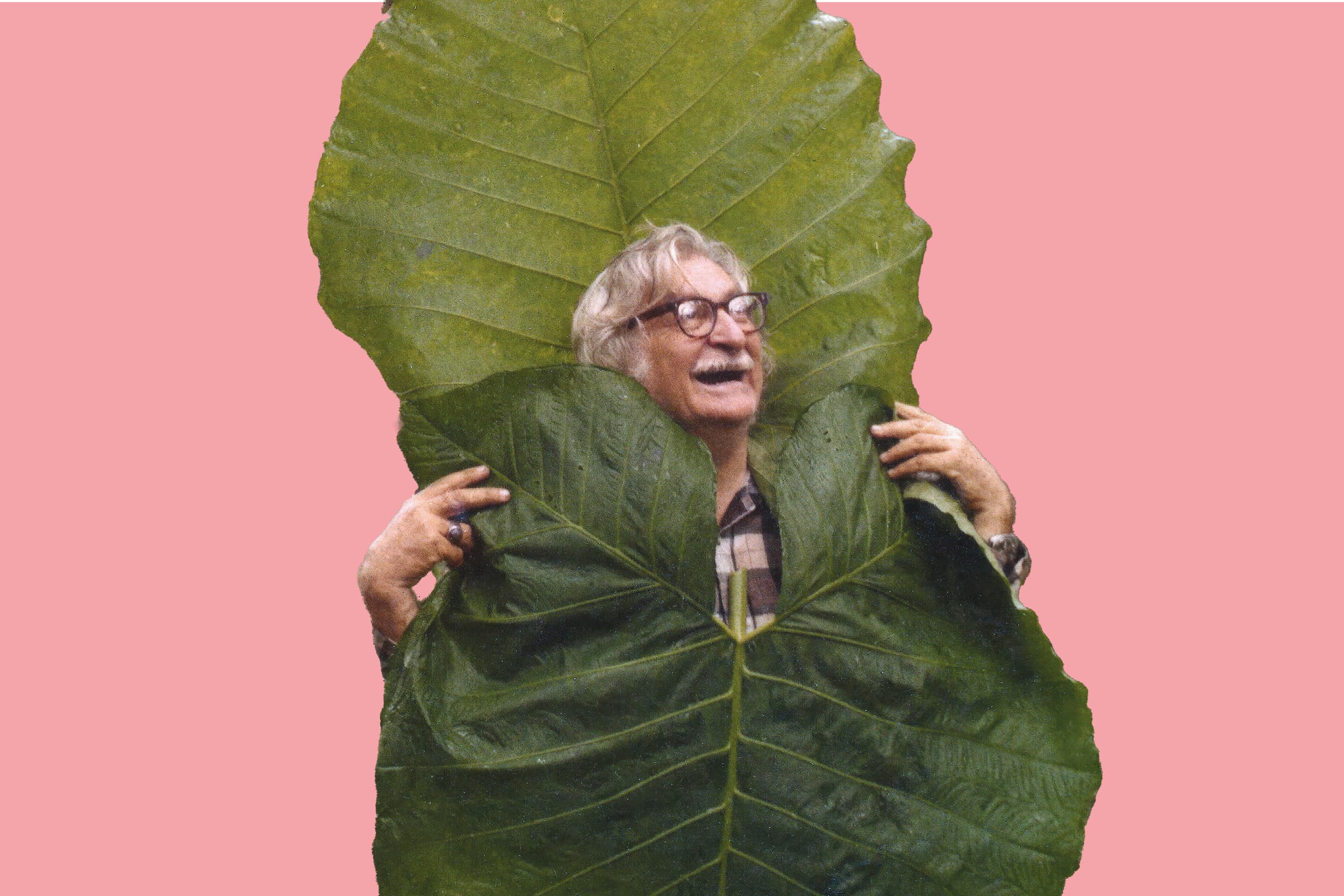 Roberto Burle Marx 1974